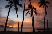 Hawaii2.jpg